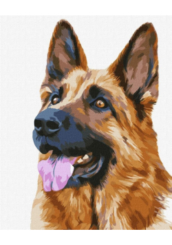 Malowanie po numerach - Prawdziwy przyjaciel 40x50