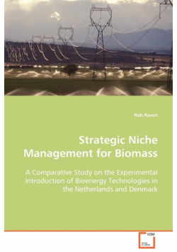 Strategic Niche Management for Biomass