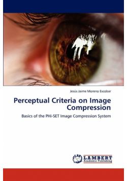 Perceptual Criteria on Image Compression