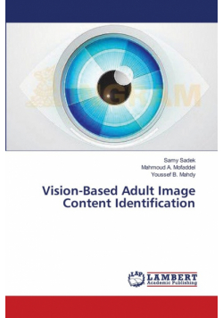 Vision-Based Adult Image Content Identification