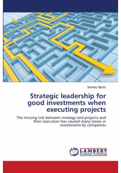 Strategic leadership for good investments when executing projects