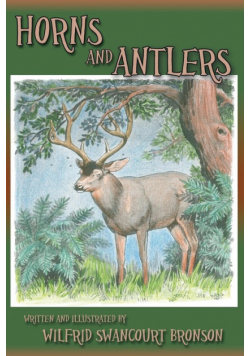 Horns and Antlers