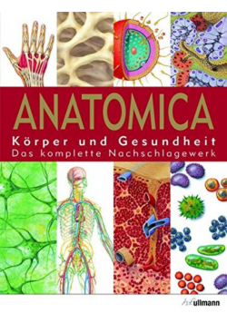 Anatomica Korper und Gesundheit