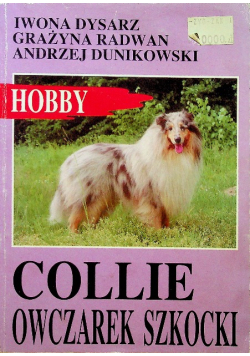 Collie Owczarek Szkocki