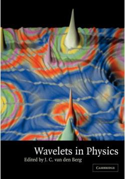 Wavelets in Physics