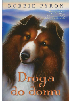 Droga do domu w.2018
