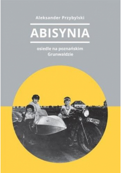 Abisynia osiedle na poznańskim Grunwaldzie