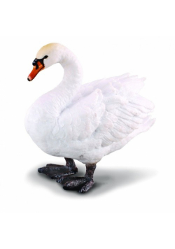 Łabędź niemy M