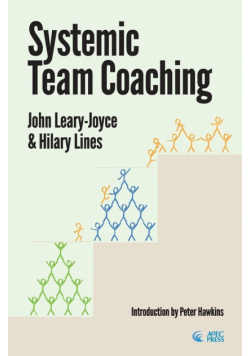 Systemic Team Coaching