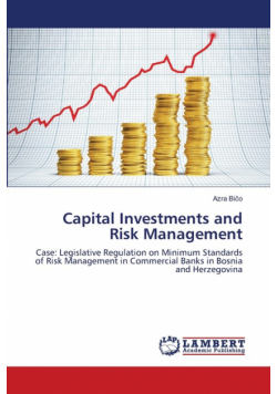 Capital Investments and Risk Management