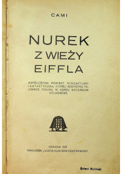 Nurek z wieży Eiffla 1931 r.