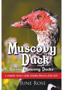 Muscovy Duck