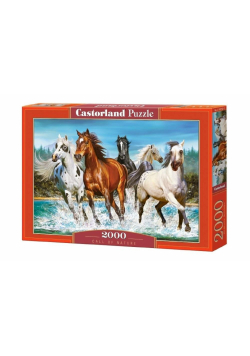 Puzzle 2000 Call of Nature CASTOR