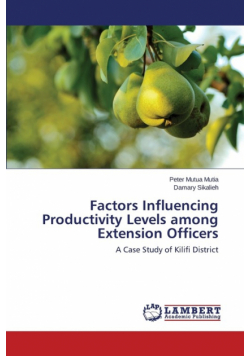Factors Influencing Productivity Levels among Extension Officers