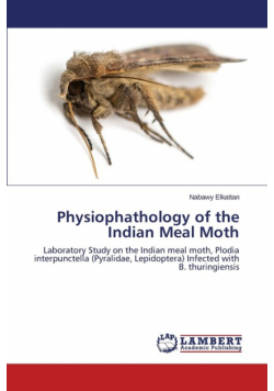 Physiophathology of the Indian Meal Moth