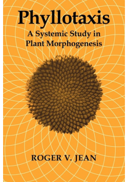 Phyllotaxis
