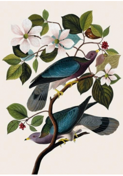 Karnet B6 z kopertą Two Birds