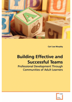 Building Effective and Successful Teams