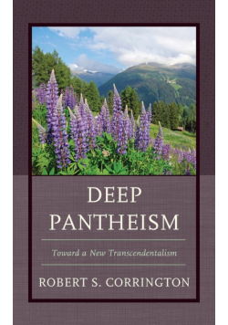 Deep Pantheism