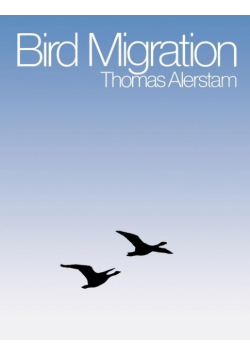 Bird Migration