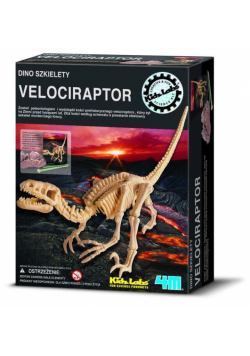Wykopaliska - Velociraptor 4M