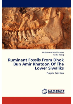 Ruminant Fossils From Dhok Bun Amir Khatoon Of The Lower Siwaliks