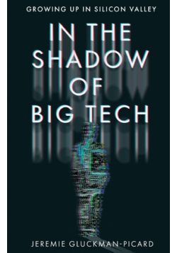In the Shadow of Big Tech