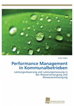 Performance Management in Kommunalbetrieben