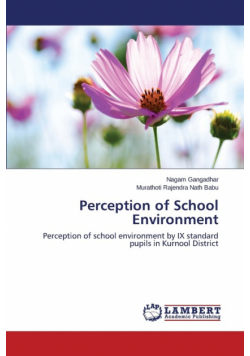 Perception of School Environment