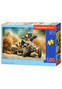 Puzzle 180 Quad in Action CASTOR