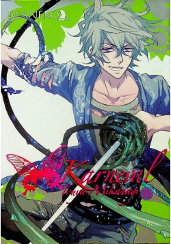 Karneval Tom 11