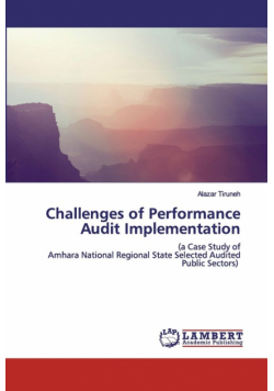 Challenges of Performance Audit Implementation