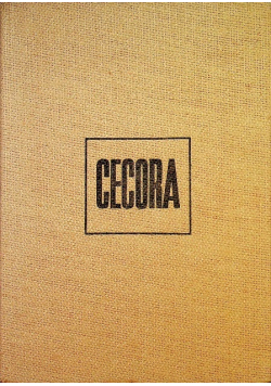 Cecora rok 1620