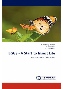 Eggs - A Start to Insect Life