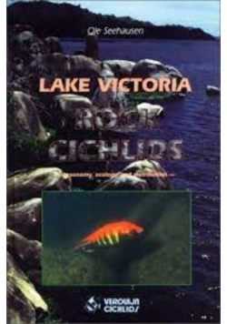 Lake Victoria Rock Cichlids