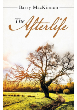 The Afterlife