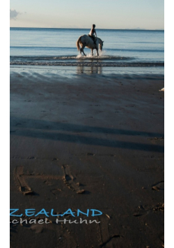 New Zealand Beach Journal