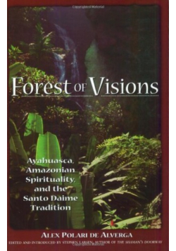 Forest of Visions