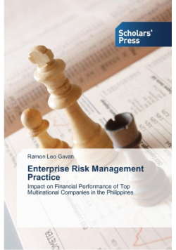 Enterprise Risk Management Practice