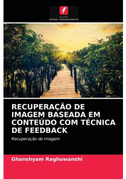 Recuperação De Imagem Baseada Em Conteúdo Com Técnica De Feedback