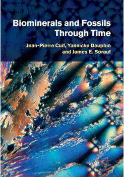 Biominerals and Fossils Through Time