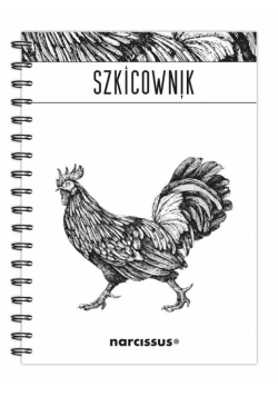 Szkicownik B5 60k na spirali - Kogut