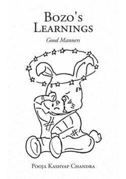 Bozo's Learnings