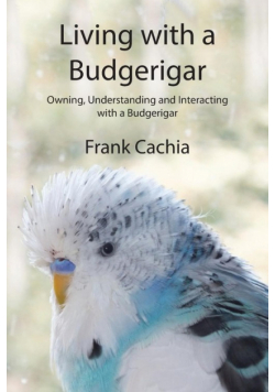 Living with a Budgerigar