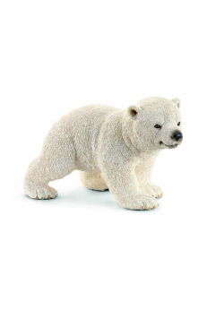 Młody miś polarny