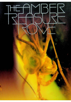 The amber treasure trove