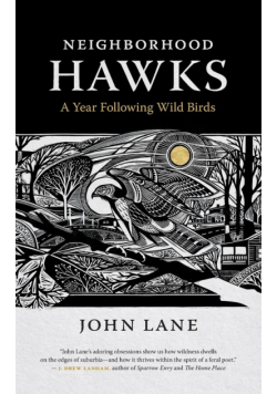 Neighborhood Hawks