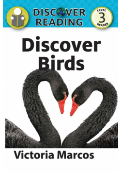 Discover Birds