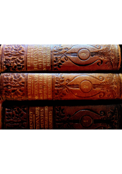 Dictionnaire Critique et Documentaire des Peintres  Sculpteurs 1924 r.
