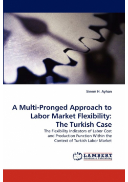 A Multi-Pronged Approach to Labor Market Flexibility